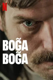 Boğa Boğa