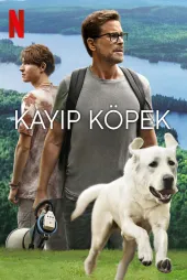 Kayıp Köpek