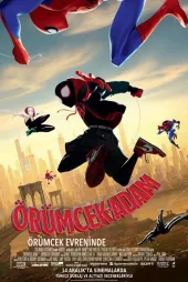 Örümcek Adam: Örümcek Evreninde